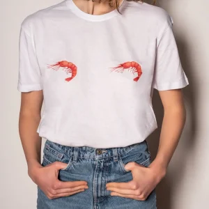 Cruditè T-shirt – Tartare di gamberi